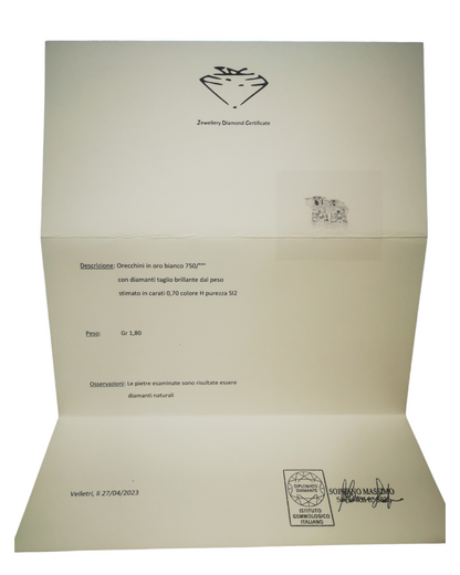 Orecchini Diamanti 750/1000