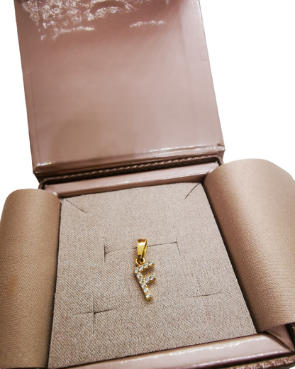 Ciondolo Letterina Zirconata Oro 750/1000
