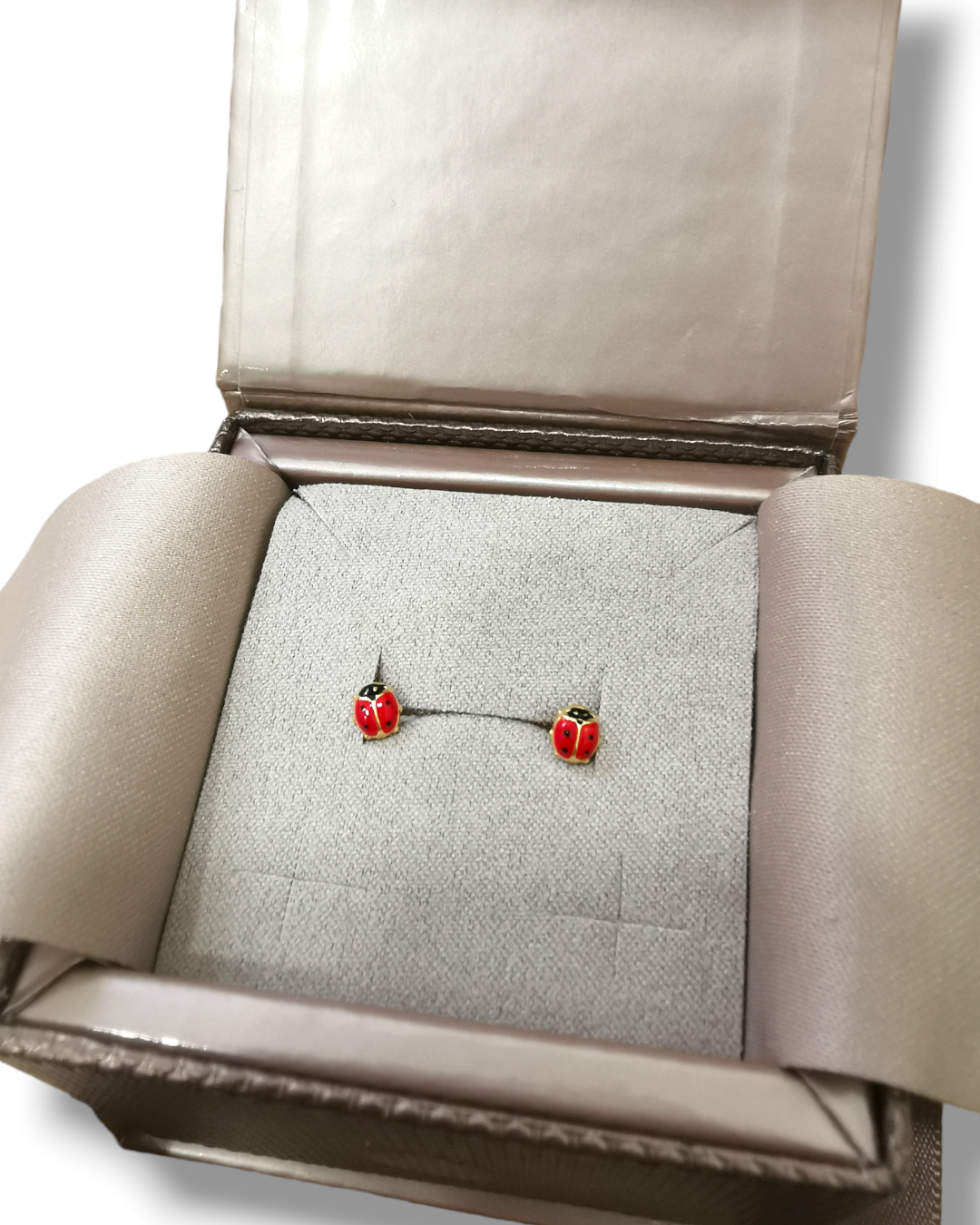 Coccinelle 750/1000