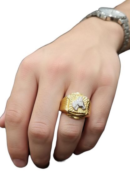Anello Uomo 750 /1000