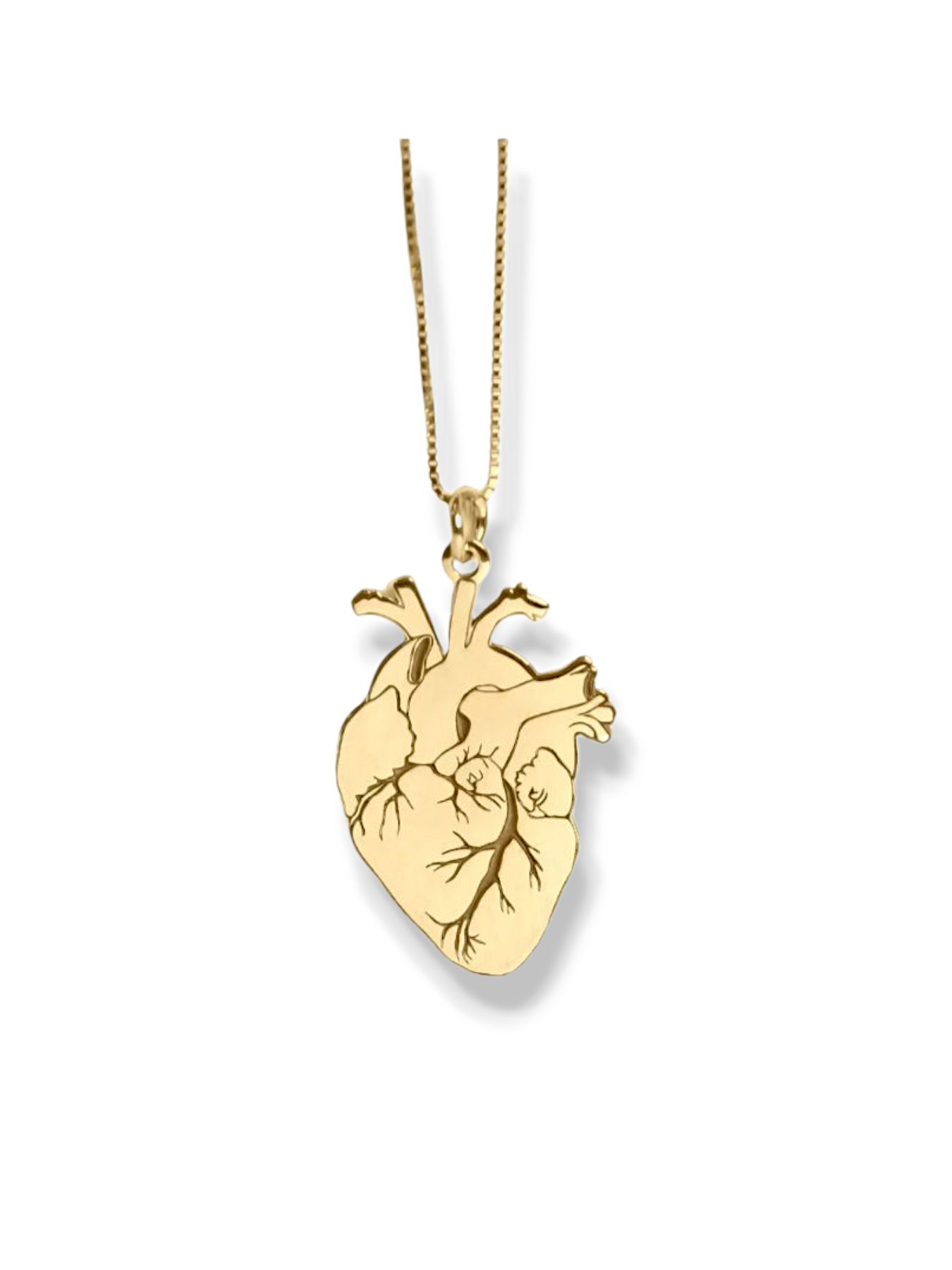 Collana Cuore Anatomico 750/1000