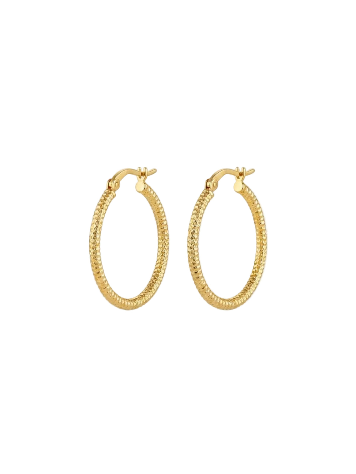 Orecchini  Oro 750/1000