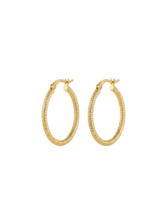 Orecchini  Oro 750/1000
